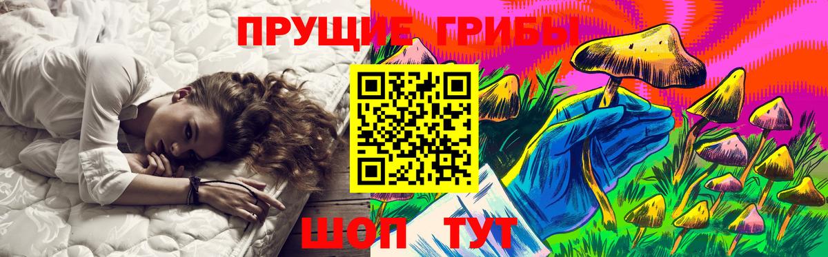 Галлюциногенные грибы GOLDEN TEACHER Гагарин